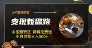 冷门蓝海项目-中医新玩法-资料免费送小白也能日入500+【揭秘】-泰戈创艺资源库