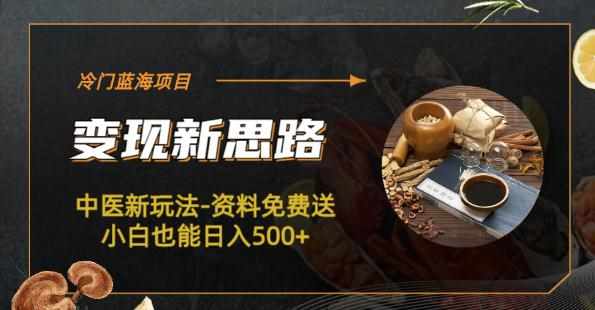 冷门蓝海项目-中医新玩法-资料免费送小白也能日入500+【揭秘】-泰戈创艺资源库