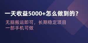 一天收益5000+怎么做到的?无脑搬运即可,长期稳定项目,一部手机可做【揭秘】-泰戈创艺资源库