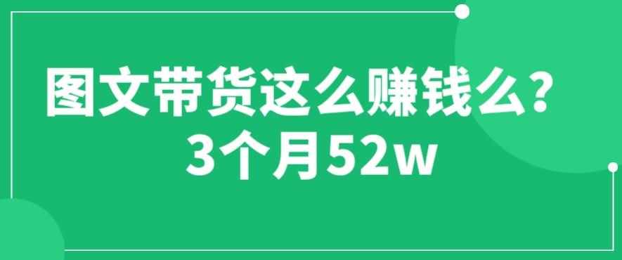 图文带货这么赚钱么? 3个月52W 图文带货运营加强课【揭秘】-泰戈创艺资源库