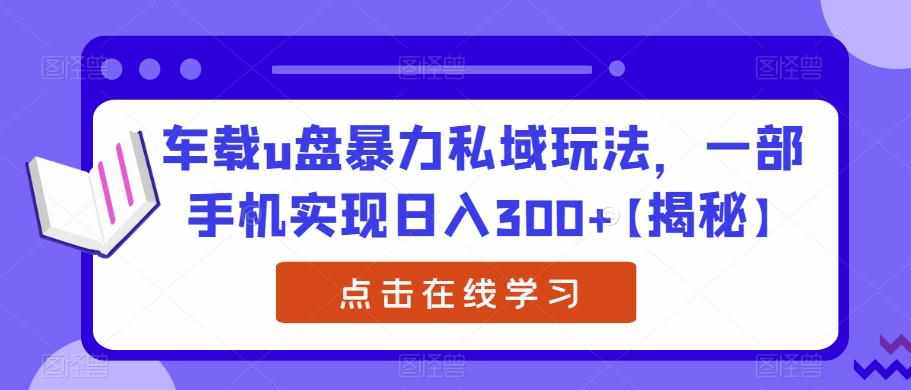 车载u盘暴力私域玩法，一部手机实现日入300+【揭秘】-泰戈创艺资源库