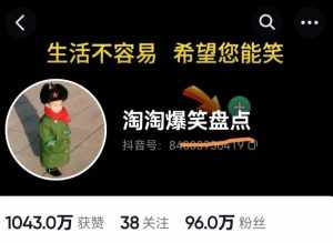 价值1000的搞笑盘点大V淘淘爆笑盘点详细课程+软件,中视频变现-泰戈创艺资源库