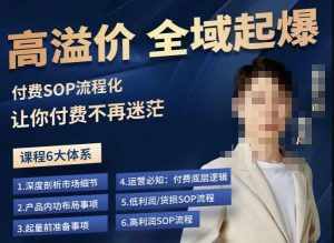 逸风-拼多多高溢价全域起爆，6大课程体系，付费玩法全套实操-泰戈创艺资源库