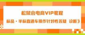 松鼠会电商VIP教程:松鼠《付费推广标品·半标直通车操作针对性答疑&诊断》-泰戈创艺资源库