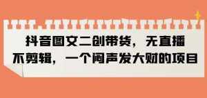 抖音图文二创带货,无直播,不剪辑,一个闷声发大财的项目【揭秘】-泰戈创艺资源库