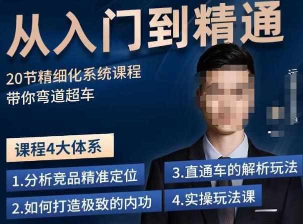 龙一·从入门到精通拼多多运营系列课，0-100的运营实操技巧，精细化系列课程带你弯道超车-泰戈创艺资源库