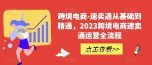 跨境电商-速卖通从基础到精通，2023跨境电商速卖通运营全流程-泰戈创艺资源库