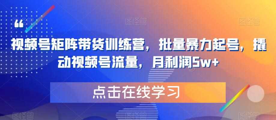 视频号矩阵带货训练营，批量暴力起号，撬动视频号流量，月利润5w+-泰戈创艺资源库