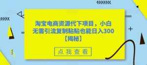 淘宝电商资源代下项目，小白无需引流复制粘贴也能日入300＋【揭秘】-泰戈创艺资源库