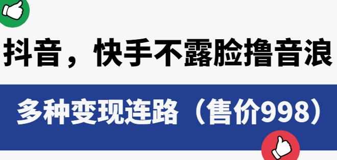 抖音快手不露脸撸音浪项目，多种变现连路（售价998）-泰戈创艺资源库