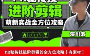 PR进阶剪辑培训班,让你快速成为剪辑大师12节视频课程+素材!-泰戈创艺资源库