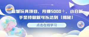 益智玩具项目，月赚5000＋，小白新手坚持做就可以达到【揭秘】-泰戈创艺资源库