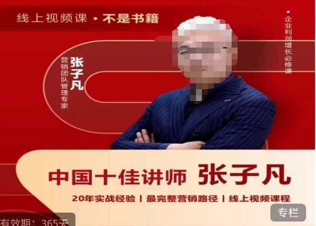 张子凡·20年实战经验，揭秘营销背后的底层逻辑，突破思维局限，从根本上破解营销难题-泰戈创艺资源库