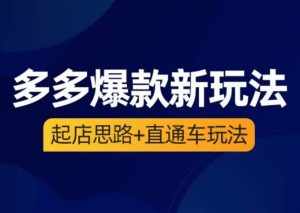 海神·多多爆款新玩法，​起店思路+直通车玩法（3节精华课）-泰戈创艺资源库