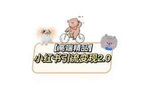 小红书最新引流变现教程，全网最新最详细的视频教程以及素材-泰戈创艺资源库