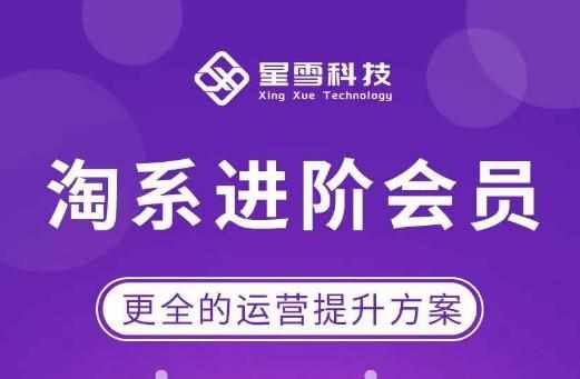 星雪·淘系进阶课程，快速提升突破技能流量瓶颈必备（更新2023年5月）-泰戈创艺资源库