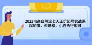 2023电商自然流七天正价起号实战课：起的慢，但是稳，小白执行即可！-泰戈创艺资源库