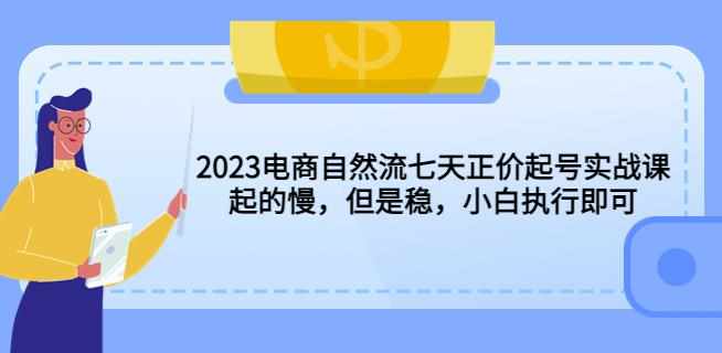 2023电商自然流七天正价起号实战课：起的慢，但是稳，小白执行即可！-泰戈创艺资源库