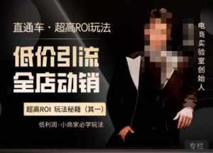 电商冰可乐·直通车·《低价引流·全店动销》,直通车·超高ROI玩法(其一)全店动销必学玩法-泰戈创艺资源库