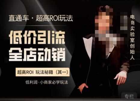 电商冰可乐·直通车·《低价引流·全店动销》，直通车·超高ROI玩法（其一）全店动销必学玩法-泰戈创艺资源库