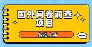 国外问卷调查项目，日入300+，在家赚美金【揭秘】-泰戈创艺资源库