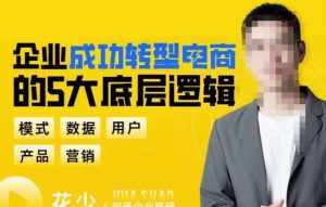 企业成功转型电商的5大底层逻辑，从模式、数据、用户、产品、营销5大板块，助你高效转型电商赛道-泰戈创艺资源库