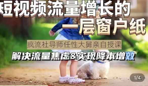 任性大舅·宠物行业短视频运营课(不讲废话)，短视频流量增长的一层窗户纸，解决流量焦虑&实现降本增效-泰戈创艺资源库