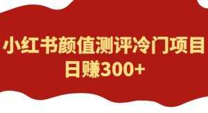 外面1980的项目,小红书颜值测评冷门项目,日赚300+【揭秘】-泰戈创艺资源库