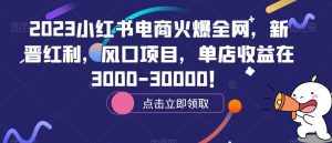 2023小红书电商火爆全网,新晋红利,风口项目,单店收益在3000-30000!-泰戈创艺资源库