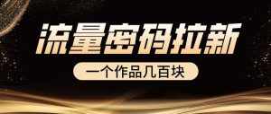 流量密码拉新项目， 一个作品几百块-泰戈创艺资源库
