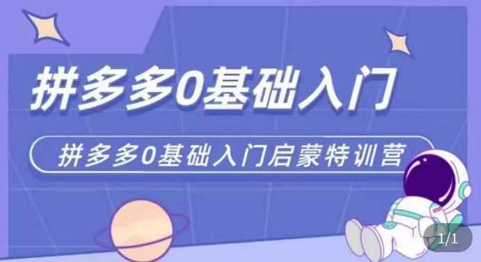 拼多多运营0-1实操特训营，拼多多0基础入门，从基础到进阶的可实操玩法-泰戈创艺资源库