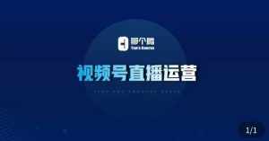 那个腾·视频号直播运营,视频号直播推流逻辑/流量渠道解析/直播起号攻略/直播实操技巧-泰戈创艺资源库