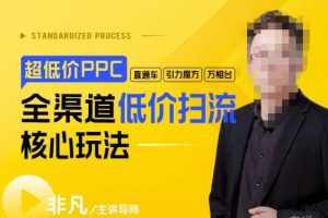 玺承·超低价ppc—“直通车、引力魔方、万相台”全渠道低价扫流核心玩法-泰戈创艺资源库