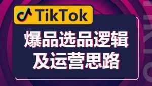 TikTok爆品选品逻辑及运营思路：解决网络环境快速入门TikTok-泰戈创艺资源库