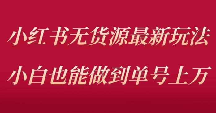 小红书无货源最新螺旋起号玩法，电商小白也能做到单号上万（价值3980元）-泰戈创艺资源库