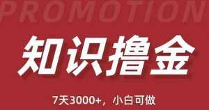 抖音知识撸金项目：简单粗暴日入1000+执行力强当天见收益(教程+资料)-泰戈创艺资源库