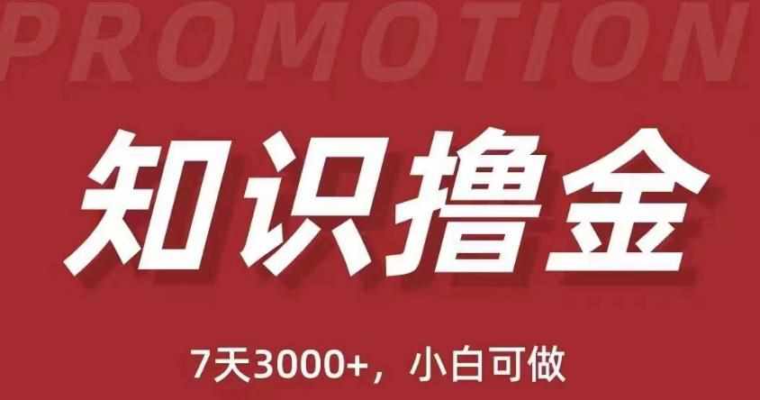 抖音知识撸金项目：简单粗暴日入1000+执行力强当天见收益(教程+资料)-泰戈创艺资源库