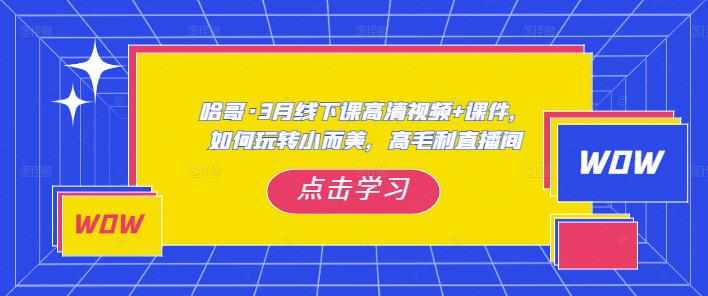 哈哥·3月线下实操课高清视频+课件，如何玩转小而美，高毛利直播间-泰戈创艺资源库