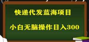 2023最新蓝海快递代发项目,小白零成本照抄也能日入300+-泰戈创艺资源库