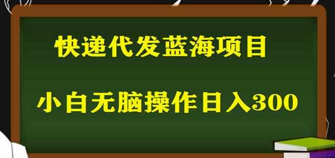 2023最新蓝海快递代发项目，小白零成本照抄也能日入300+-泰戈创艺资源库