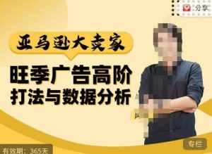 阿甘·亚马逊大卖家广告高阶打法与数据分析，走出传统广告误区；揭秘大卖惯用打法；数据驱动广告决策-泰戈创艺资源库