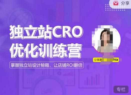 独立站CRO优化训练营,掌握独立站设计秘籍,打造高转化的独立站,让店铺ROI翻倍-泰戈创艺资源库