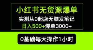 小红书无货源爆单实测从0起店无脑发笔记爆单3000+长期项目可多店-泰戈创艺资源库