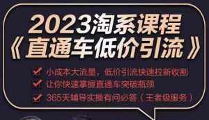 2023直通车低价引流玩法课程，小成本大流量，低价引流快速拉新收割，让你快速掌握直通车突破瓶颈-泰戈创艺资源库