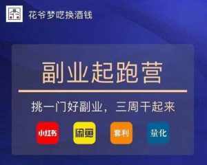 花爷-副业起跑营第2期，挑一门好副业，三周干起来（闲鱼｜小红书｜量化｜套利）-泰戈创艺资源库