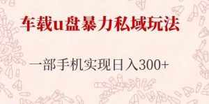 车载u盘暴力私域玩法，长期项目，仅需一部手机实现日入300+-泰戈创艺资源库