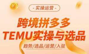 跨境拼多多TEMU实操与选品，​掌握平台运营方法技巧，选品避坑12条标准，爆款的底层思路等-泰戈创艺资源库