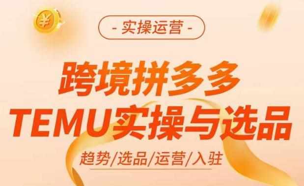 跨境拼多多TEMU实操与选品，​掌握平台运营方法技巧，选品避坑12条标准，爆款的底层思路等-泰戈创艺资源库