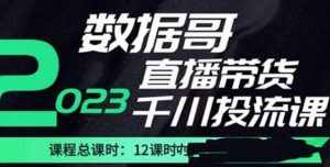 数据哥2023直播电商巨量千川付费投流实操课，快速掌握直播带货运营投放策略-泰戈创艺资源库