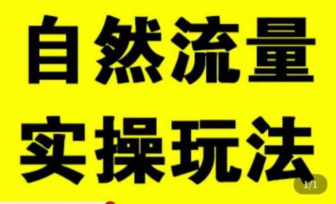 拼多多自然流量天花板,拼多多自然流的实操玩法,自然流量是怎么来的,如何开车带来自然流等知识-泰戈创艺资源库